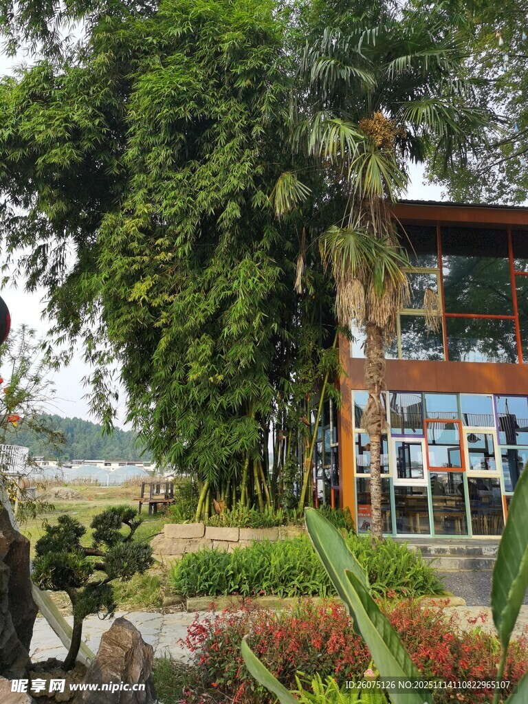 湖畔绿植环绕的现代建筑