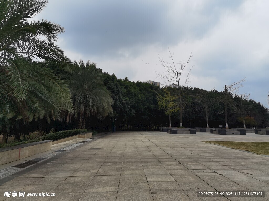 宽阔广场与周边绿植景观