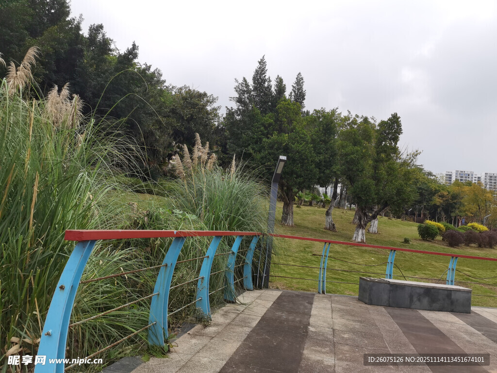 公园木质步道及周边景致