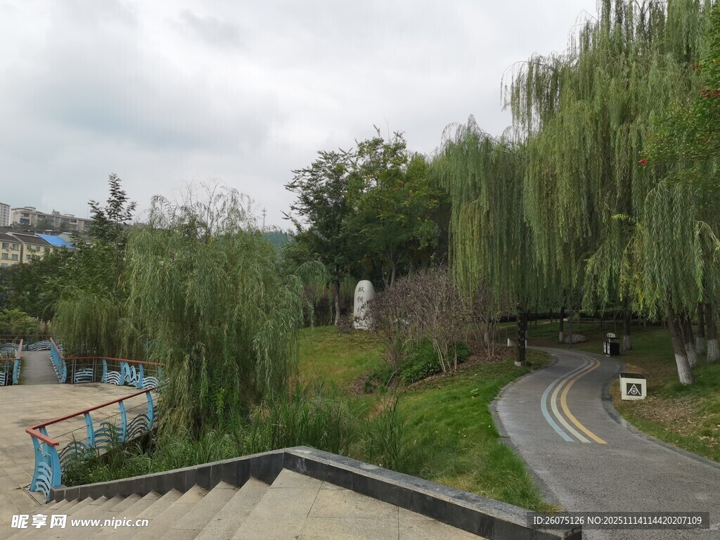 蜿蜒山路旁的葱郁景致