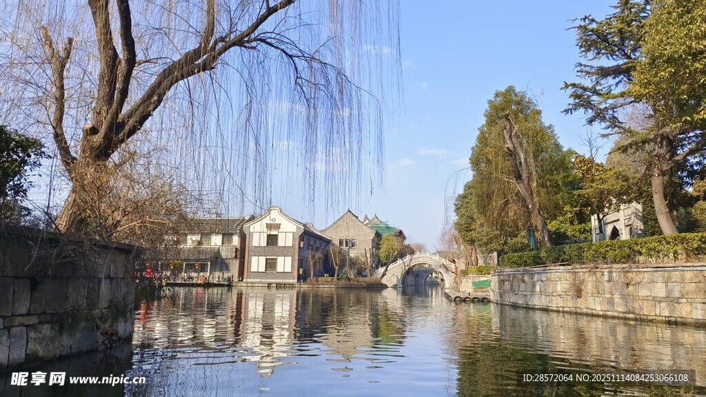 河畔垂柳映碧水美景