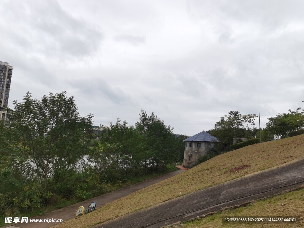 阴天户外草地树木景象