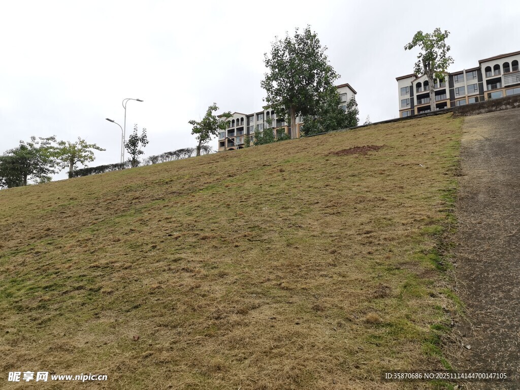 山坡草地旁的房屋景观