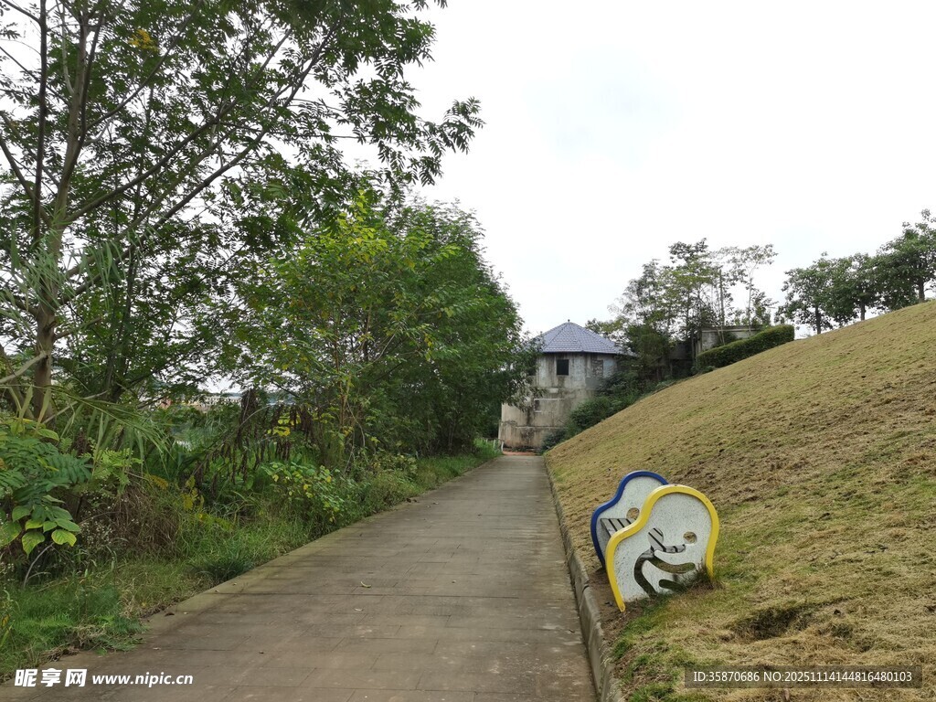乡村幽静小路风景