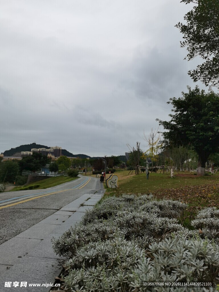 雨中湿润的户外道路景观