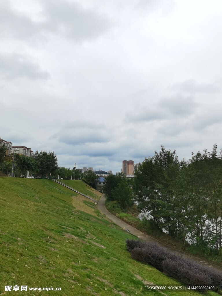 户外草地树木风景图