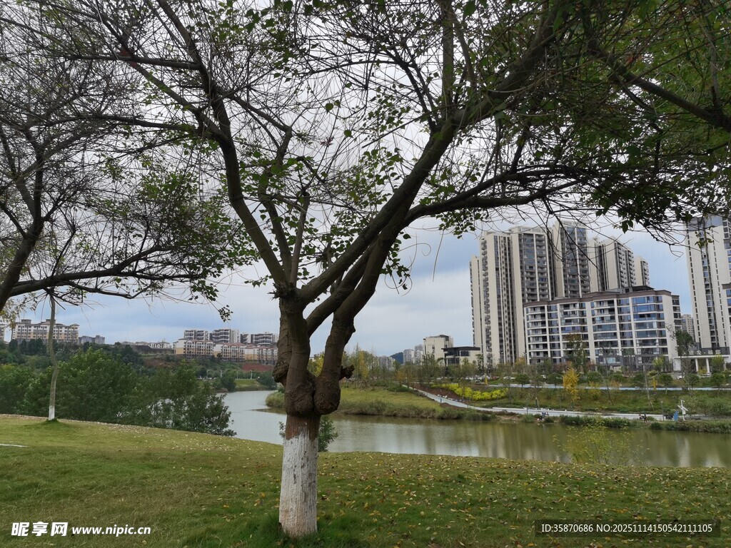 湖畔繁花绿树与城市风光