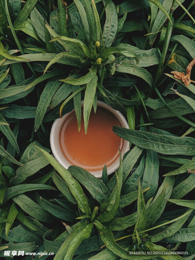 绿叶中的橙色饮品