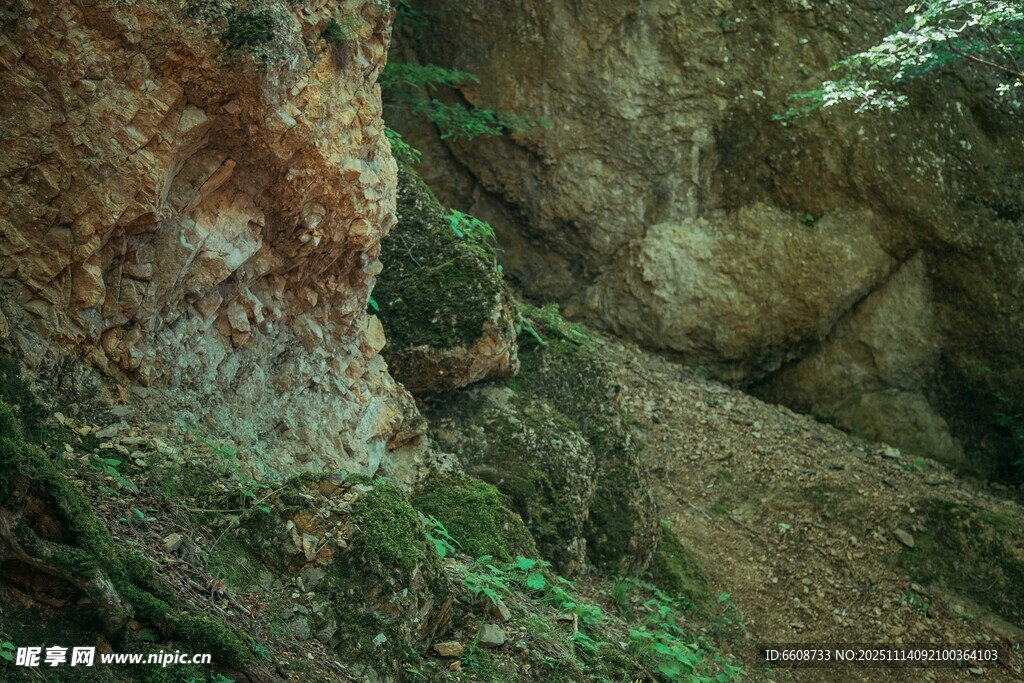 山间岩石与绿植景观