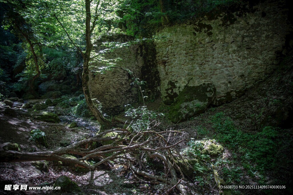 山林间的古老石墙遗迹