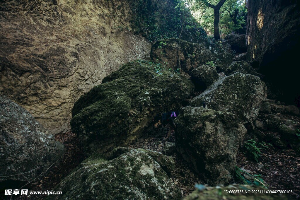山间岩石缝隙中的自然景致