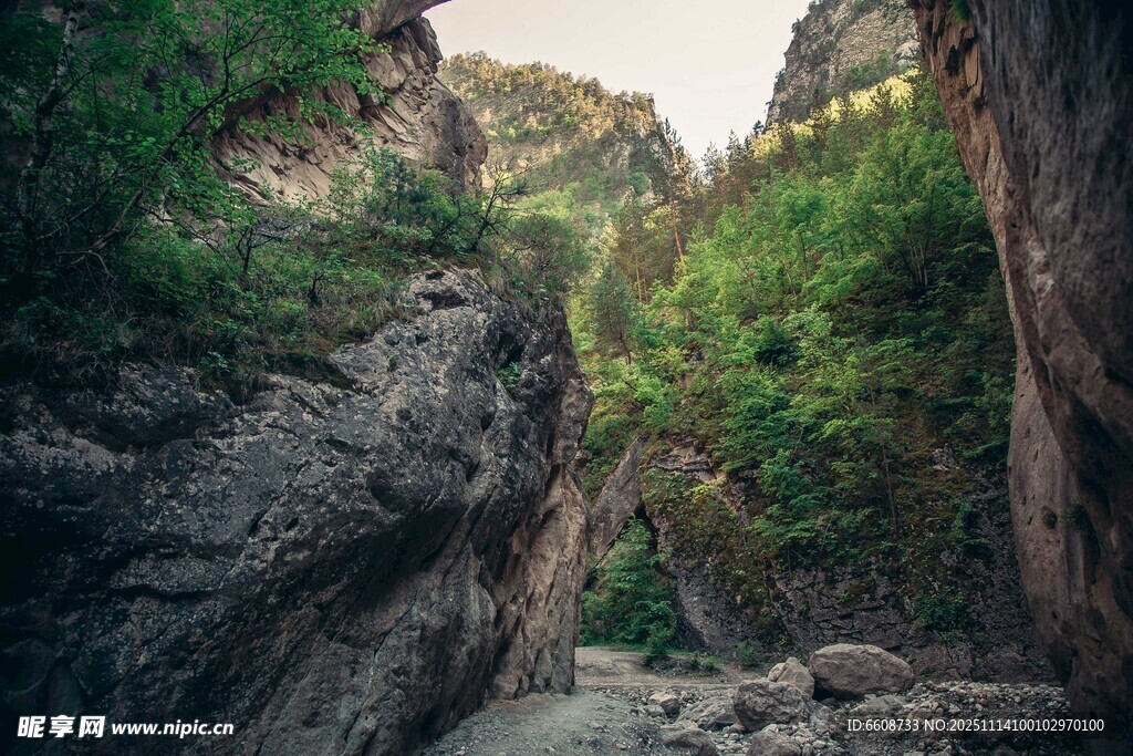 山间峡谷绿意盎然的景致