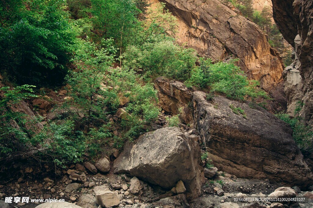山间岩石旁的繁茂绿植
