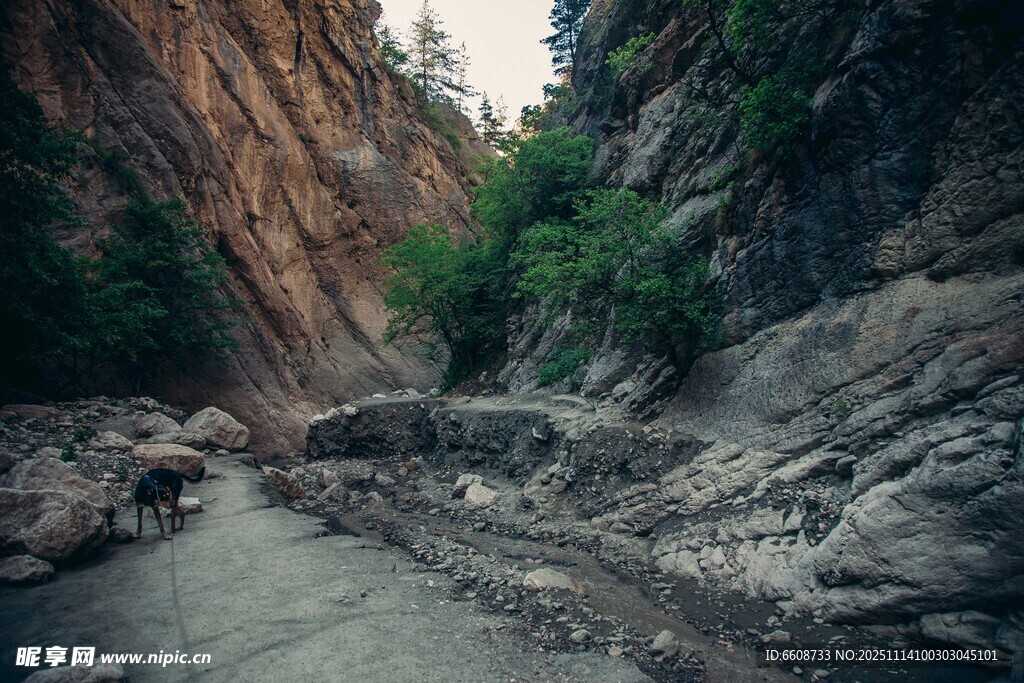 山间溪流穿岩石而过