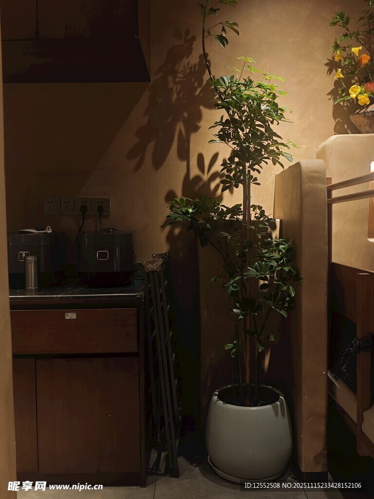 室内角落绿植装饰场景