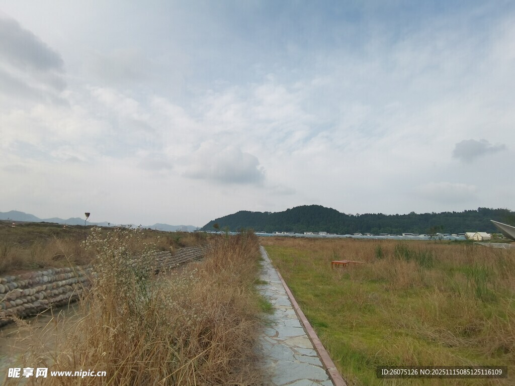 田野间的小径与自然风光