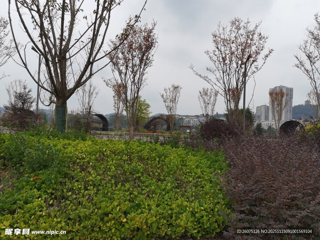 城市绿地中的绿植与树木