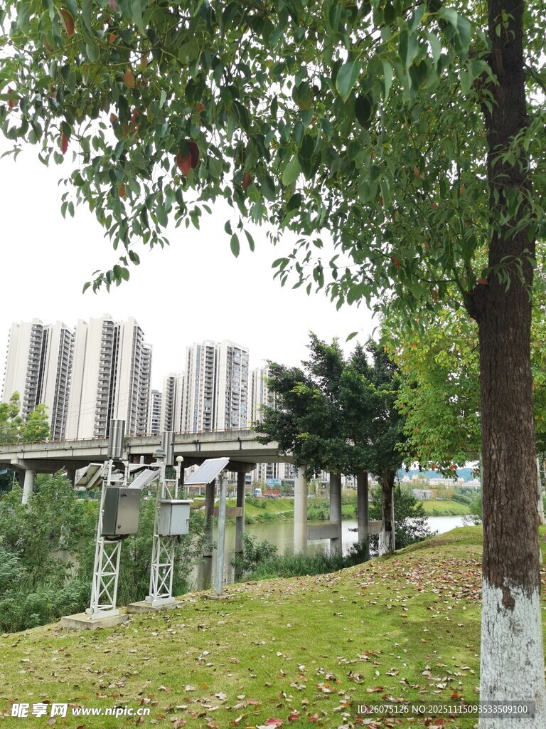 城市河畔绿树与桥景