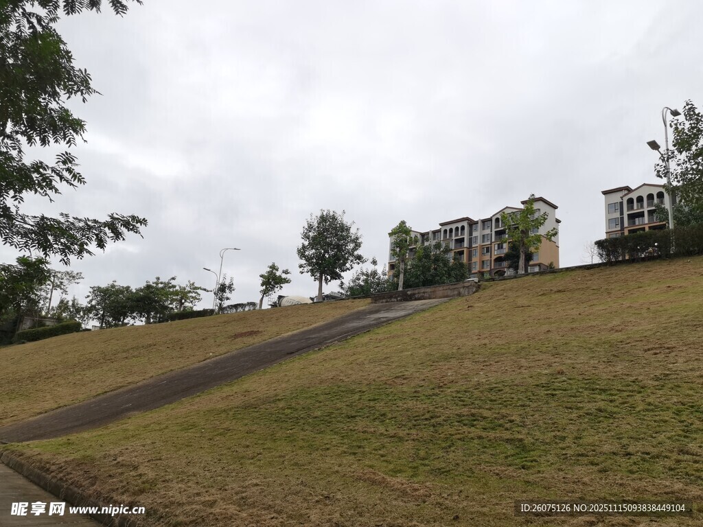 户外草地旁的道路与建筑