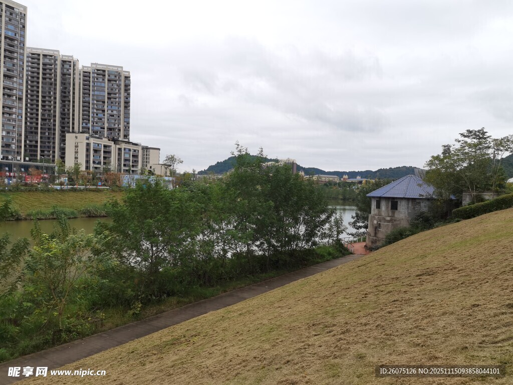 河畔旁的高楼与自然景致