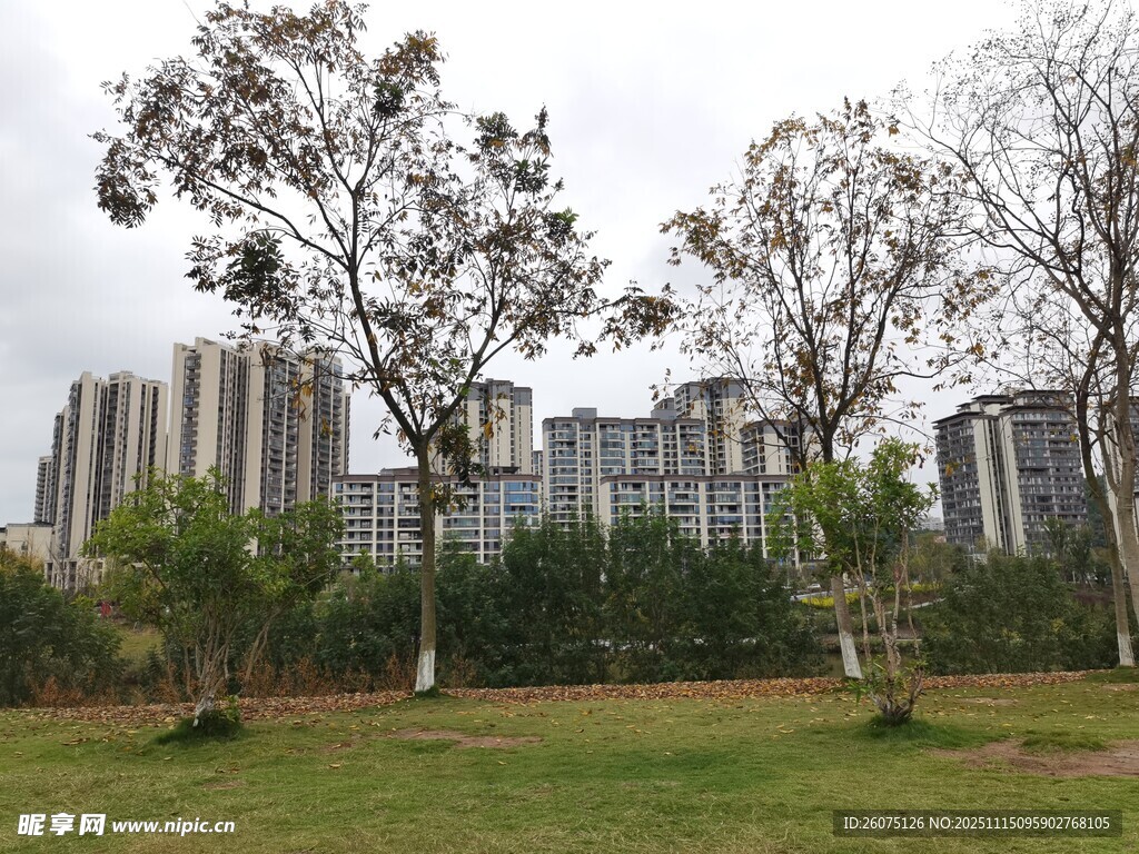 城市草地旁的高楼景观