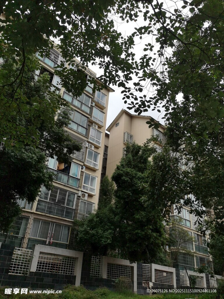 绿树环绕的多层居民楼