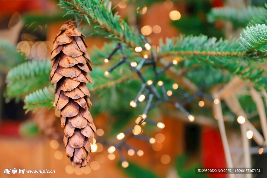 圣诞松枝上的松果与彩灯