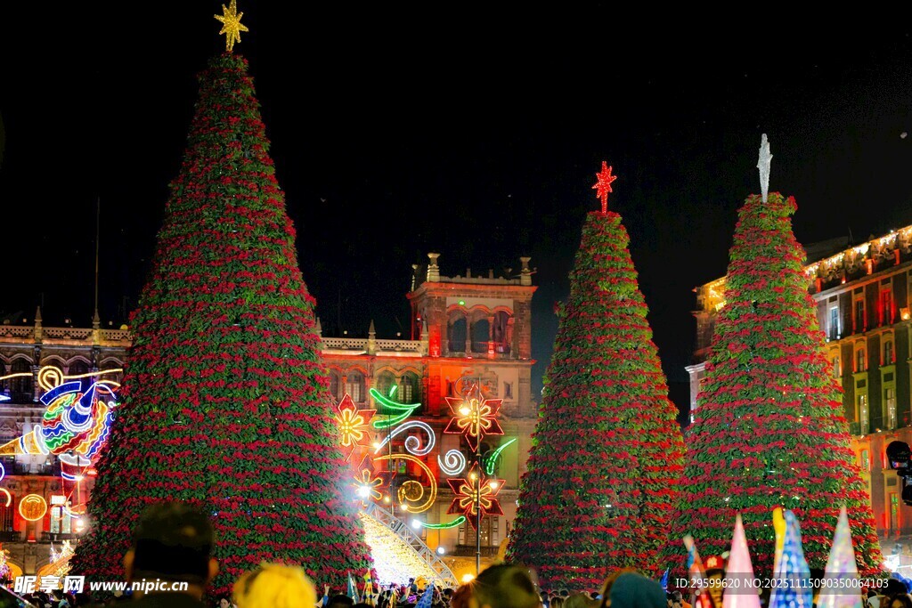 夜晚绚丽的节日装饰景观