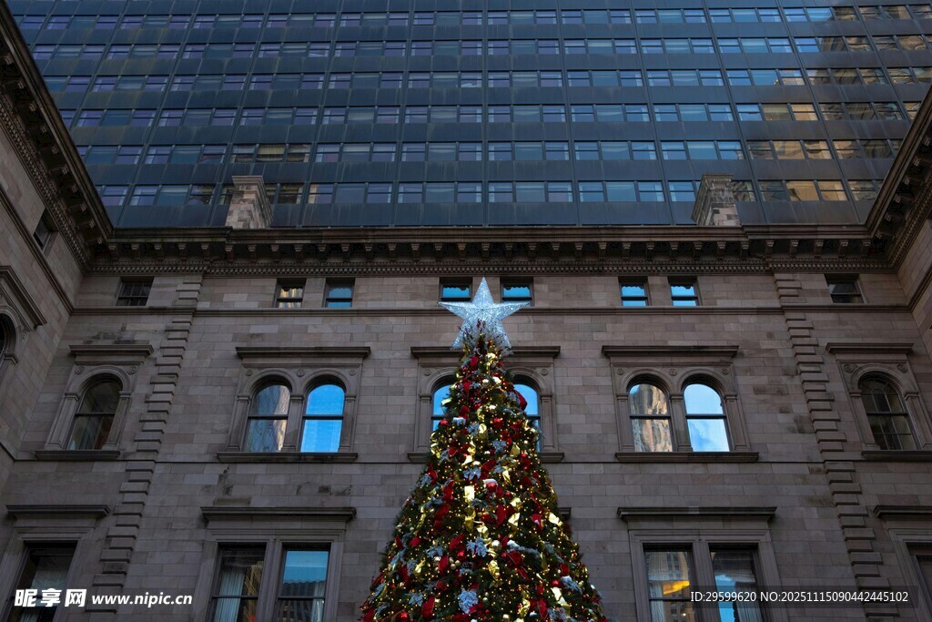 建筑前的璀璨圣诞树