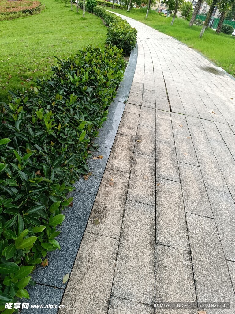 城市中整洁的砖石步道