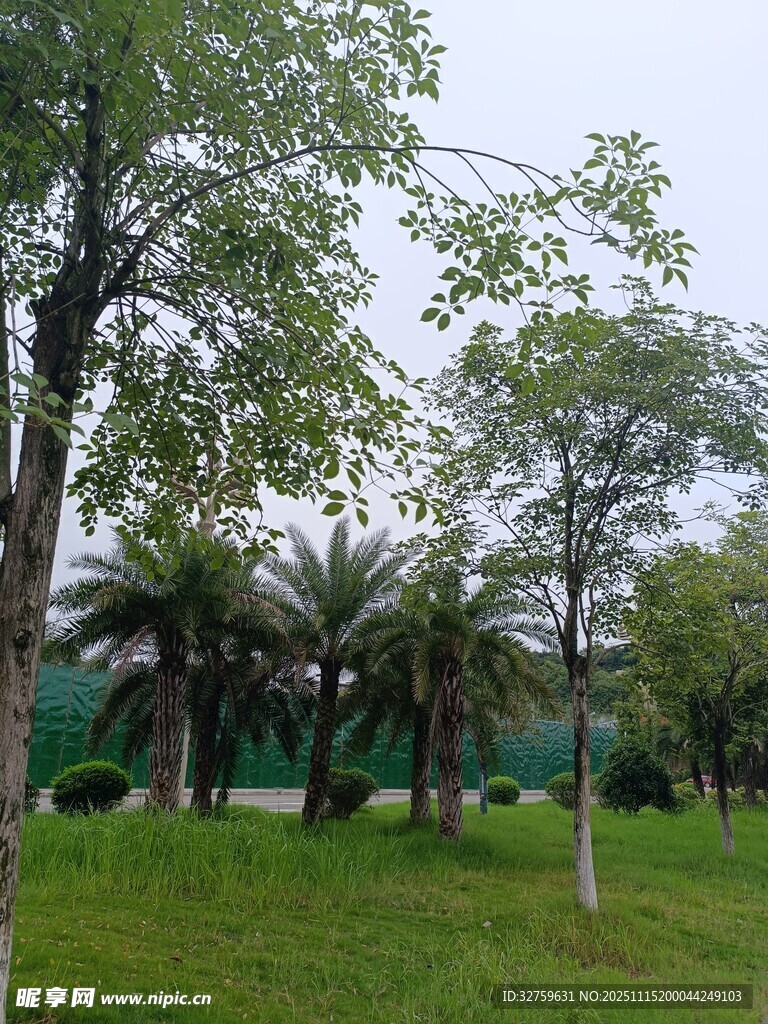 户外绿树草地风景图