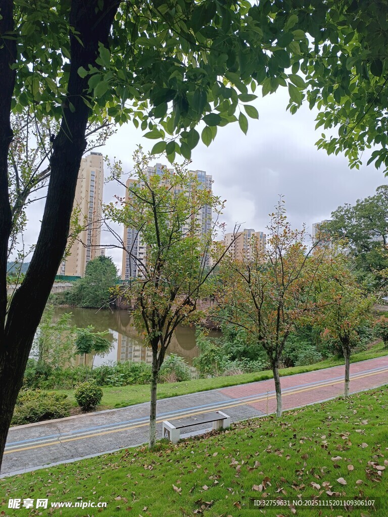 秋日公园小径风景