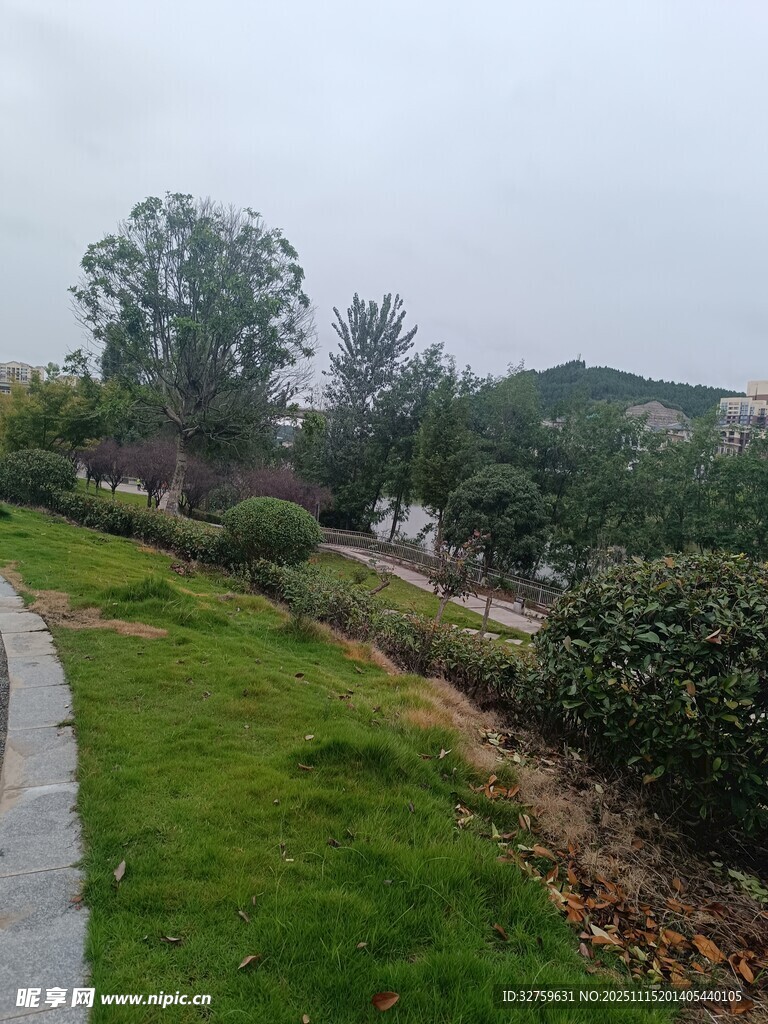 户外绿意盎然的园林景致