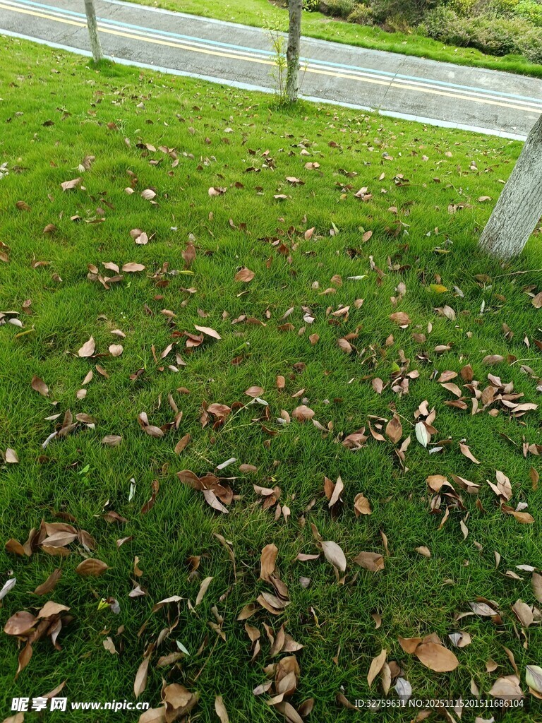 草地落叶旁的护栏景象