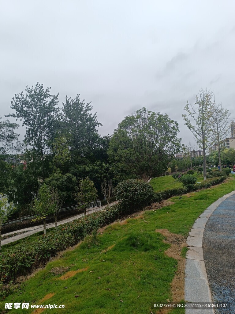 城郊小路旁的绿植景观