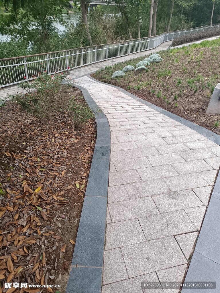 蜿蜒小径旁的自然景观