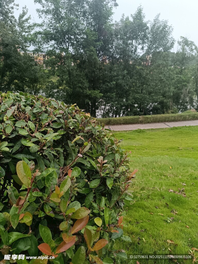 绿意盎然的户外园林景观