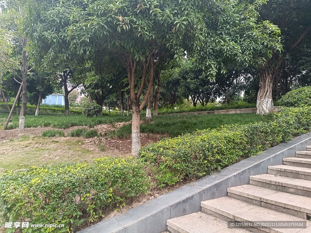 公园石阶旁的绿植景观