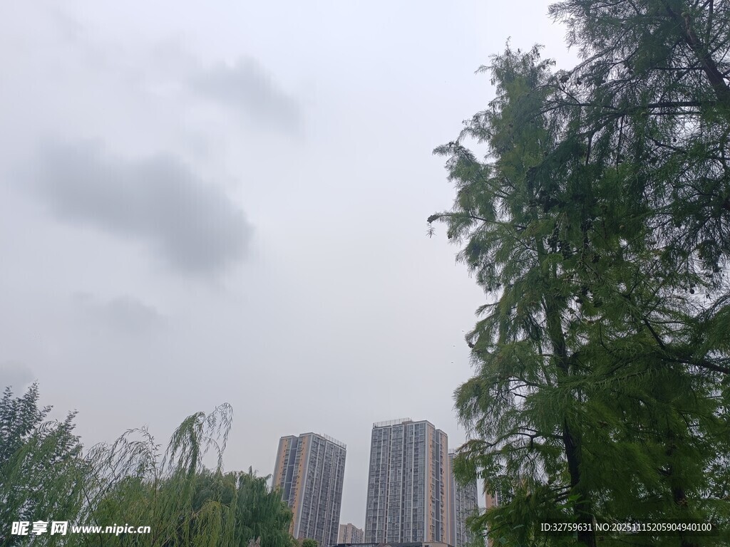 城市绿树与高楼景观