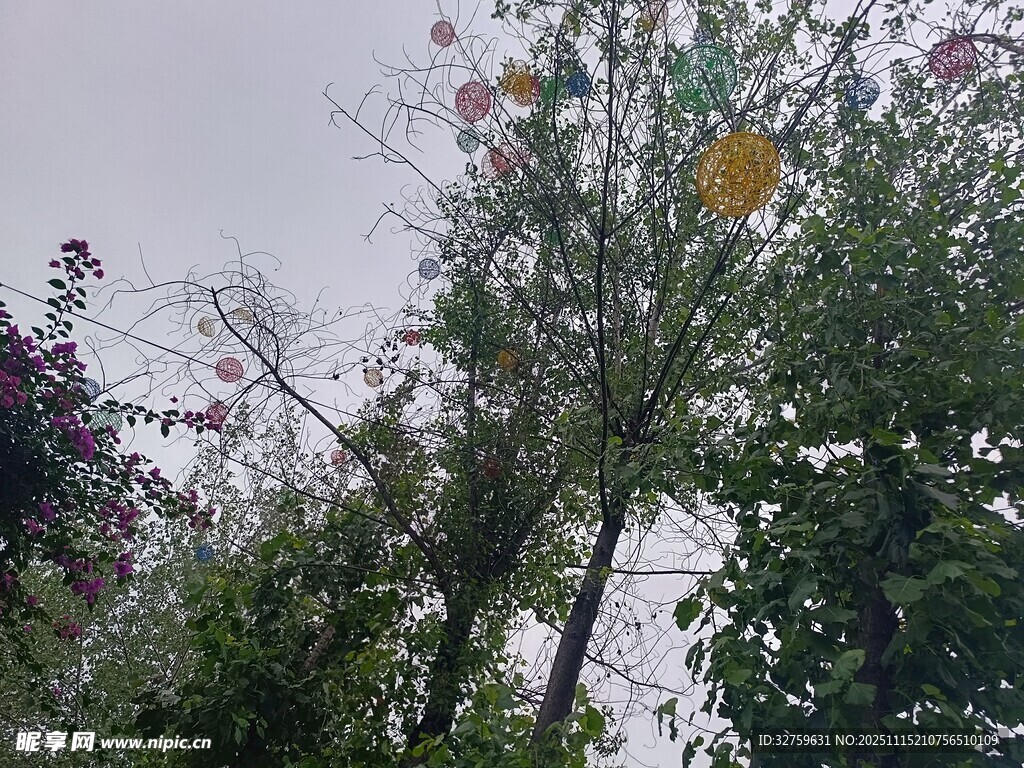 枝头繁花与黄叶相映