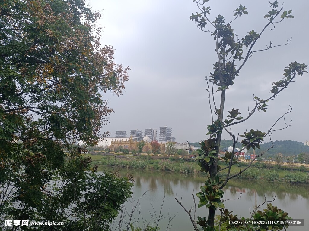 湖畔树木与远处城市景观