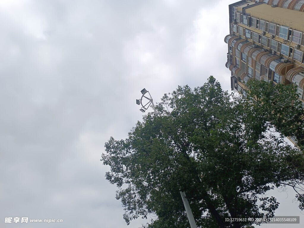 楼旁绿树与阴沉天空