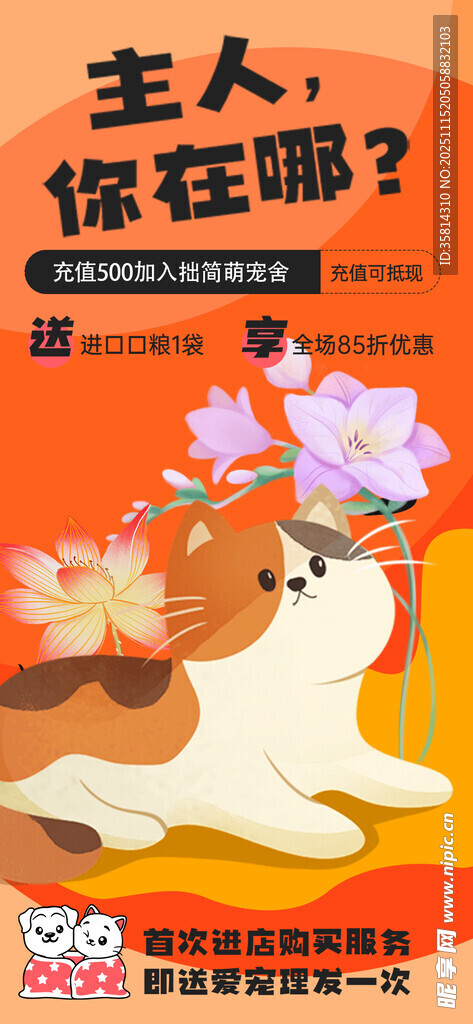 慵懒猫咪盼主人