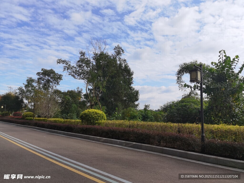 公路旁绿意盎然的风景