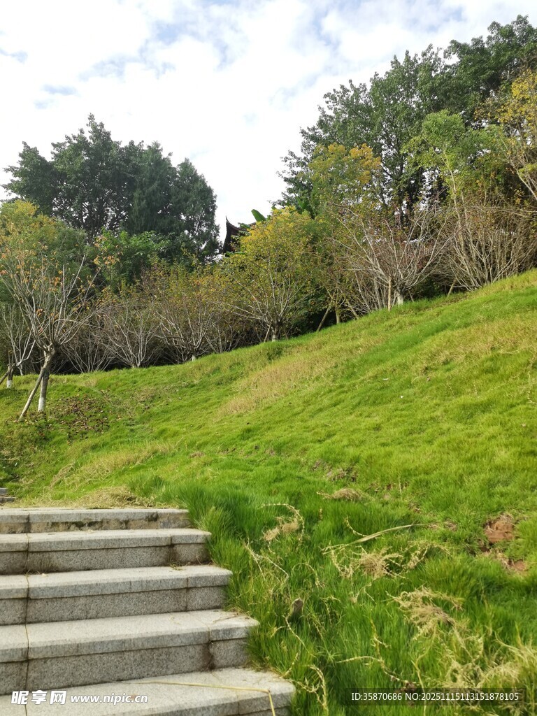 绿意盎然的石阶小径