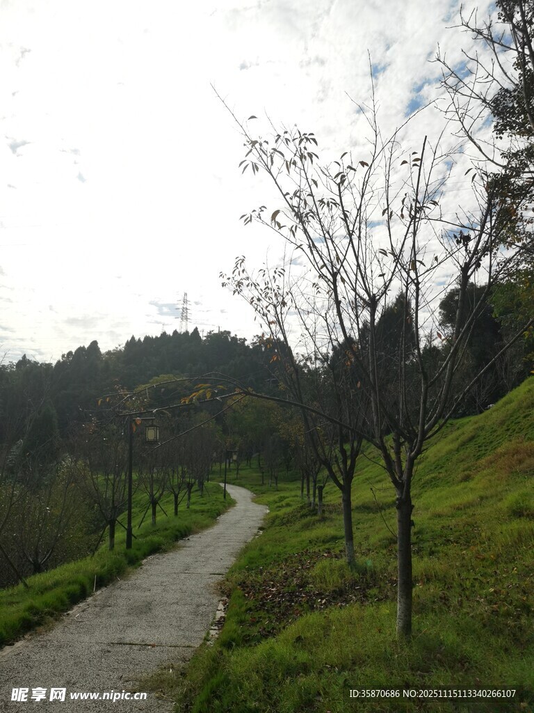 山间小径静谧自然之景