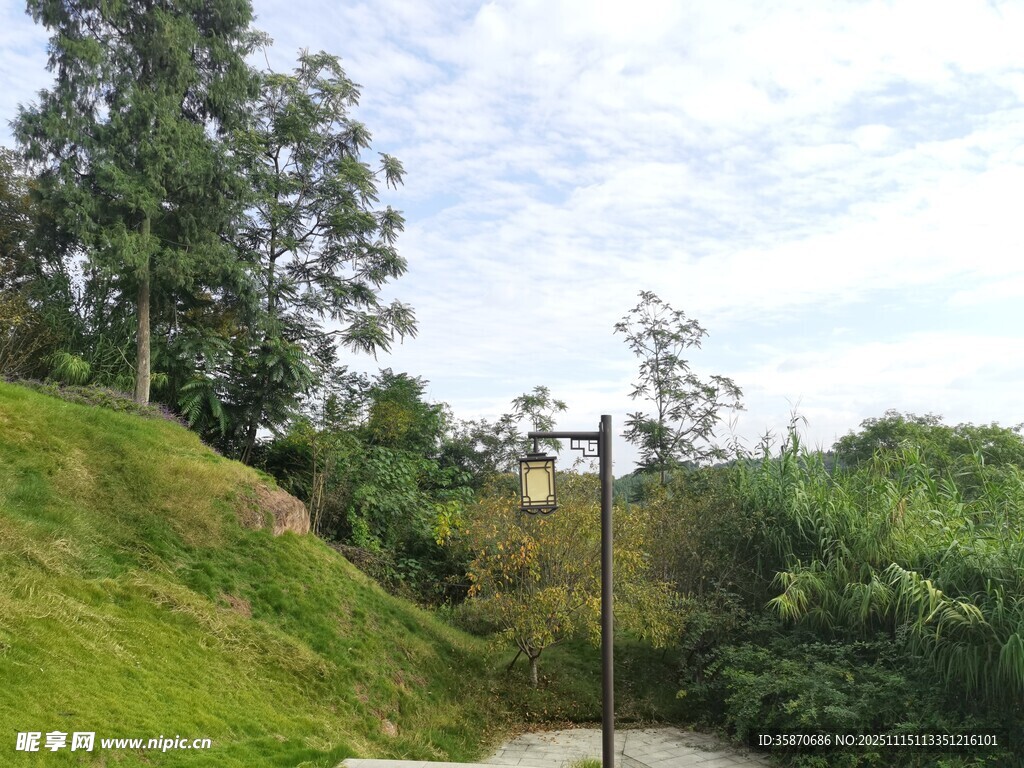 山间小径绿意盎然的景致