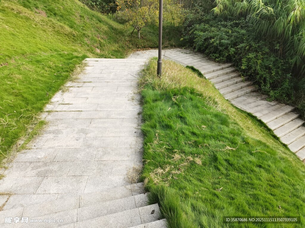 山间石板小径与葱郁草地