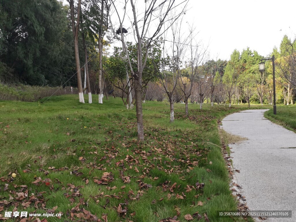 秋日林间小径风景