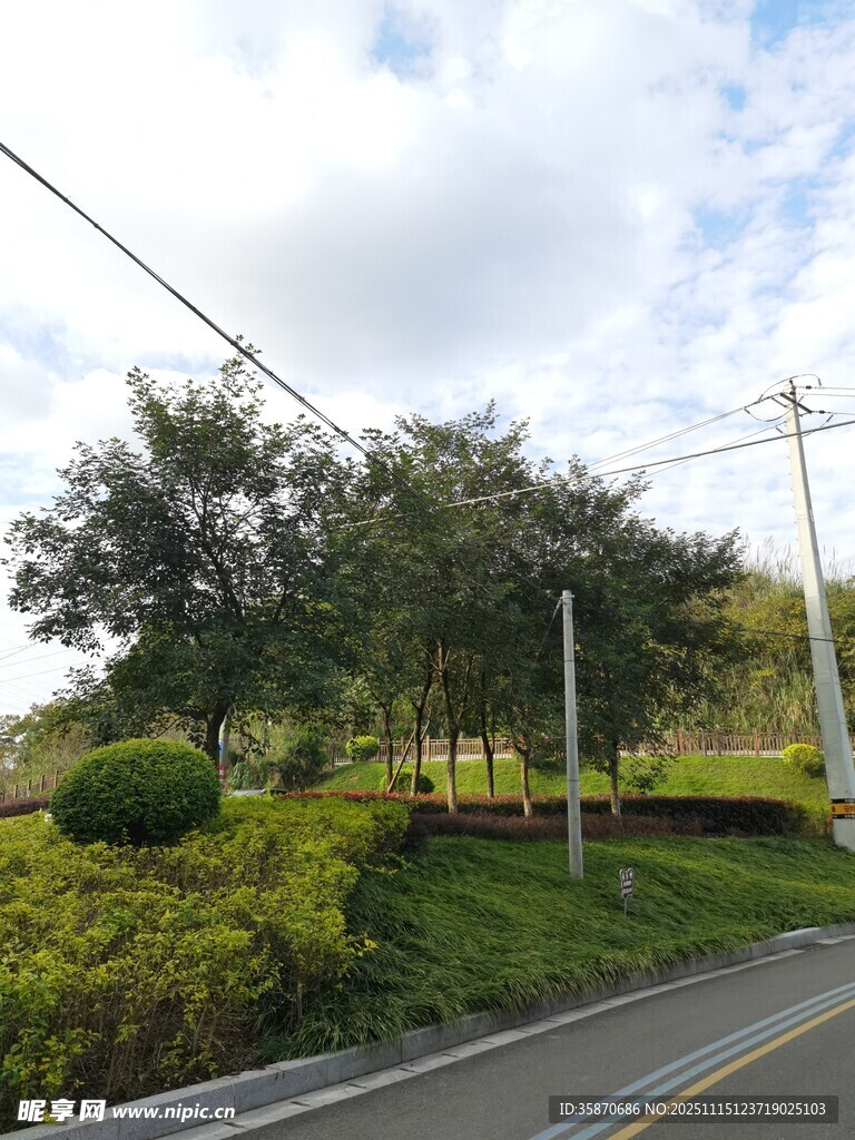 乡村公路旁的绿意景致